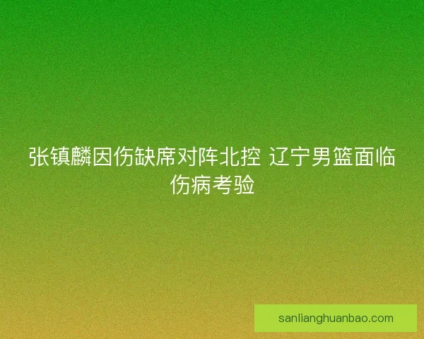 张镇麟因伤缺席对阵北控 辽宁男篮面临伤病考验