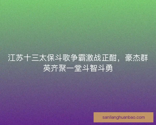 江苏十三太保斗歌争霸激战正酣，豪杰群英齐聚一堂斗智斗勇