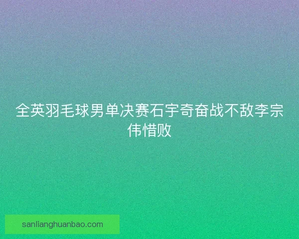 全英羽毛球男单决赛石宇奇奋战不敌李宗伟惜败